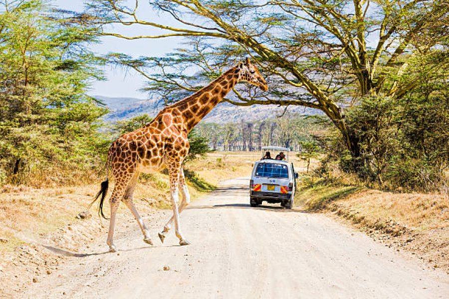 Lake Nakuru National PArk