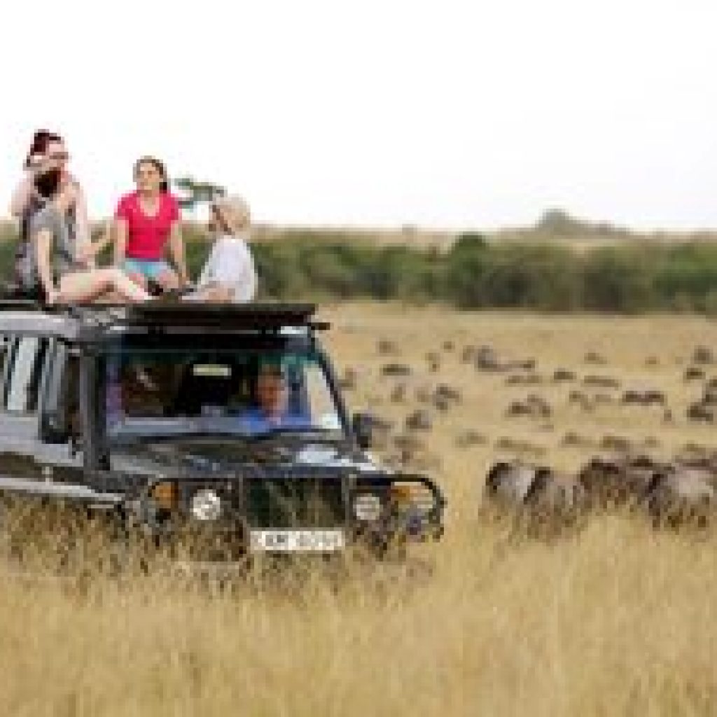 Giraffes in the Maasai Mara - 6-day Kenya safari and Diani beach package