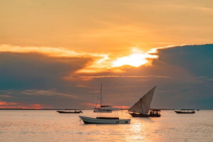 Zanzibar Mnemba Island