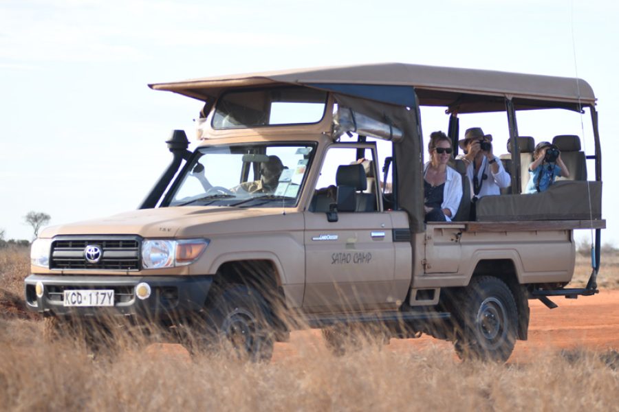Kenya Safari