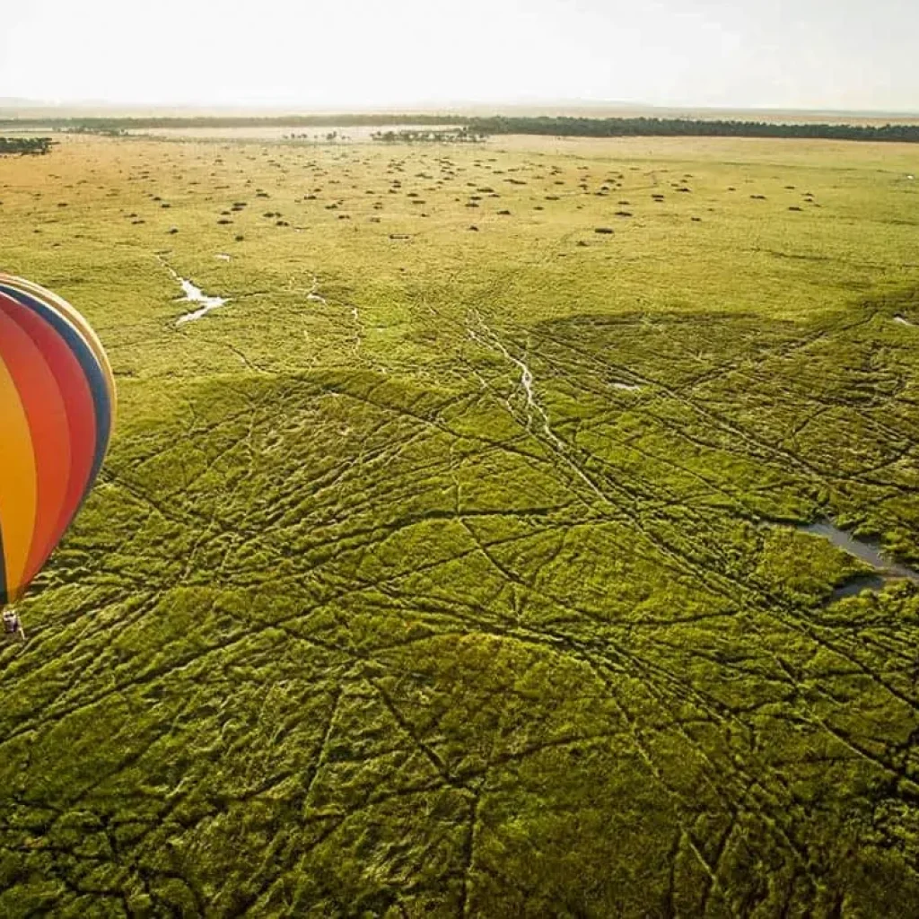 Hot-air balloon over the Mara