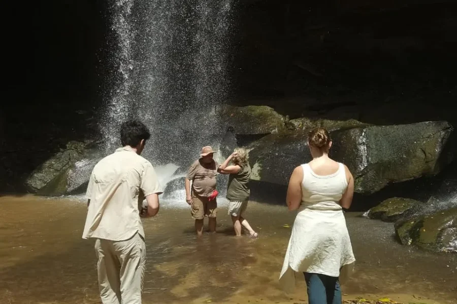1 Day Shimba Hills & Sheldrick Falls Tour